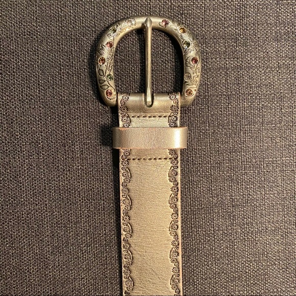 Fossil Belt - Picture 2 of 8